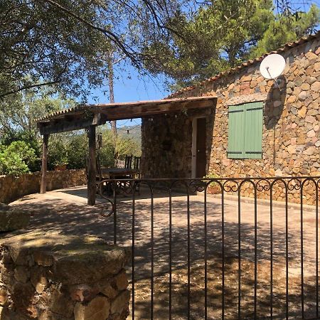 Maison De Campagne Sarragia Εξωτερικό φωτογραφία