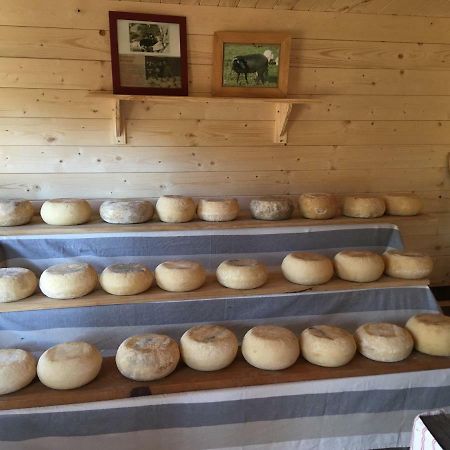 Maison De Campagne Sarragia Εξωτερικό φωτογραφία
