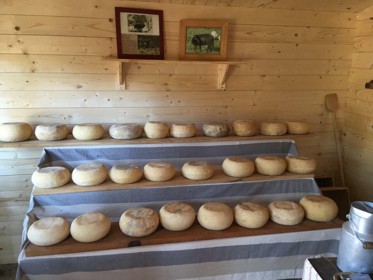 Maison De Campagne Sarragia Εξωτερικό φωτογραφία